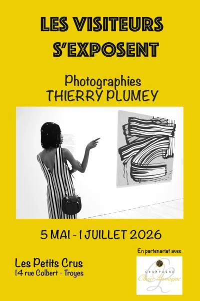 Exposition-quotLes-visiteurs-s039exposentquot-8211-Troyes_3659829
