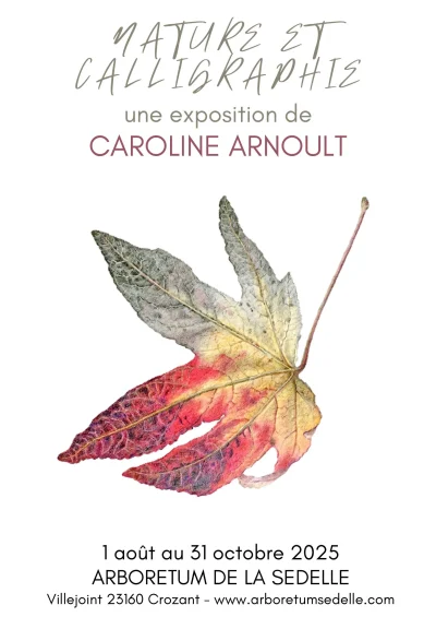Exposition-quotNature-et-calligraphiequot-de-Caroline-Arnoult-8211-01-08-2025-8211-Crozant_2148022