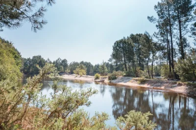 Exposition-quotles-landes-du-bazadais-la-foret-raconteequot-8211-03-02-2026-8211-Bazas_3481687