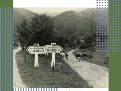 Exposition-temporaire-quotL039Eloge-des-Vosges-dans-la-Region-de-Guebwillerquot-8211-01-10-2025-8211-Guebwiller_2726720