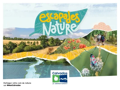 Exposition-temporaire-quotMosasaures-les-dents-du-Cretacequot-8211-05-04-2025-8211-Villers-sur-Mer_2134395