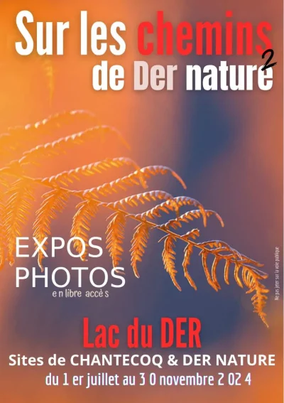 Expositions-quotSur-les-Chemins-de-Der-Naturequot-8211-01-07-2025-8211-Giffaumont-Champaubert_2721286