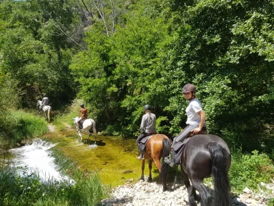 FERME-EQUESTRE-CHEVAL-CATHARE-8211-Cucugnan_3830749