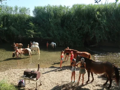 FERME-EQUESTRE-DE-MIREPEISSET-8211-Mirepeisset_3825546