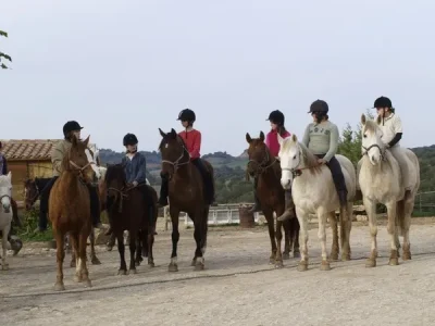 FERME-EQUESTRE-DU-CAUSSE-8211-Granes_3836153