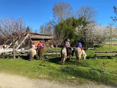 FERME-EQUESTRE-PEDAGOGIQUE-DES-2-RIVIERES_694297