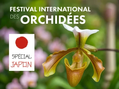 FESTIVAL-INTERNATIONAL-DES-ORCHIDEES-8211-03-10-2025-8211-Narbonne_3175214