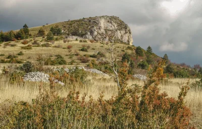 FETE-DE-LA-NATURE-BALADE-CONTEE-8211-25-05-2025-8211-Gorges-du-Tarn-Causses_2623974