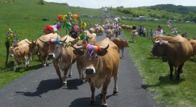 FETE-DE-LA-TRANSHUMANCE-AU-COL-DE-BONNECOMBE-ET-FESTI039RANDO-8211-Les-Salces_3430892