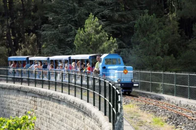FETE-DES-ENFANTS-DU-TRAIN-DE-L039ANDORGE-EN-CEVENNES-8211-22-06-2025-8211-Saint-Julien-des-Points_2096790