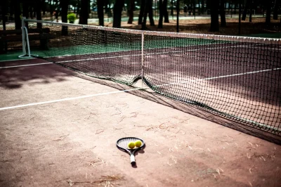 FOREST-PIN039S-TENNIS-8211-Argeles-sur-Mer_3713457