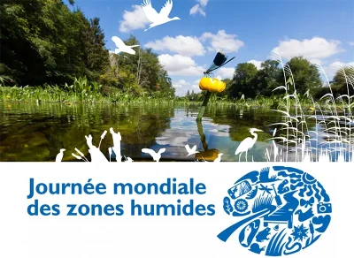 Fabrique-ton-balai-8211-23-02-2026-8211-Saint-Michel-en-Brenne_3465053