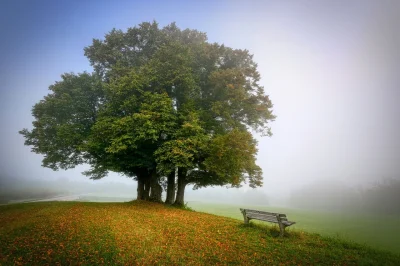 Faites-des-Jardins-Cine-debat-8211-16-05-2025-8211-Gourdon_2542071