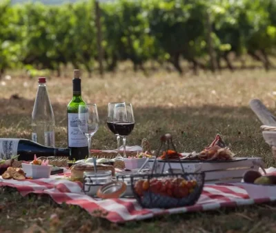 Family-Sun039Days-au-Chateau-de-Haute-Serre-8211-26-07-2026-8211-Cieurac_3680397