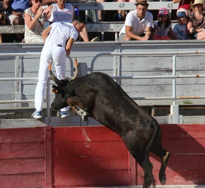 Feria-de-Paques-8211-Course-Camarguaise-8211-03-04-2026-8211-Arles_3489895