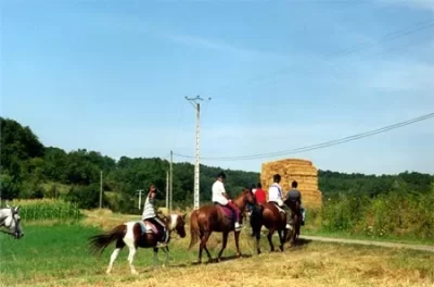Ferme-Equestre-Criniere-au-Vent_999493