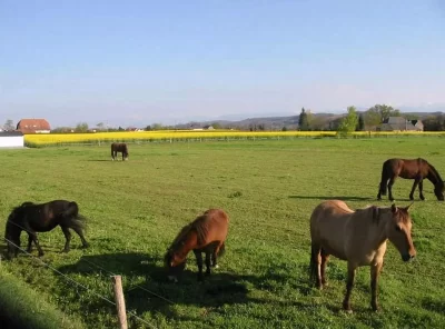 Ferme-Equestre-Lo-Casau_1014376