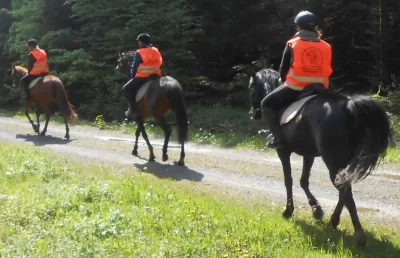 Ferme-Equestre-de-la-Croix-Colas-8211-Balades-a-cheval_704816