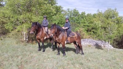 Ferme-Equestre-du-Pech-Merle_59986