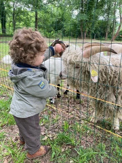 Ferme-Pedagogique-Les-Minis-Pattes-8211-Cazals_3521534