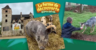 Ferme-de-Decouverte-de-Saint-Pierre-Lafeuille-8211-Saint-Pierre-Lafeuille_3063224