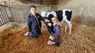 Ferme-de-la-Marque_408087