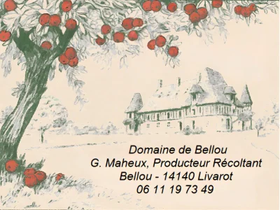 Ferme-du-Manoir-de-Bellou-8211-Livarot-Pays-d039Auge_3338852