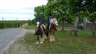 Ferme-equestre-Domaine-de-Petit-Peyre-8211-Laburgade_2655597-1