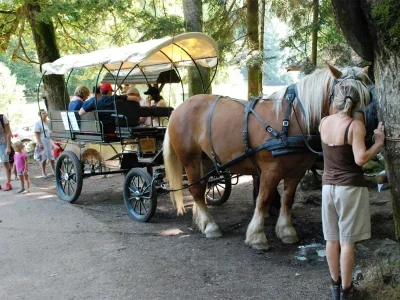 Ferme-equestre-Equi039val-8211-Le-Tholy_3275664