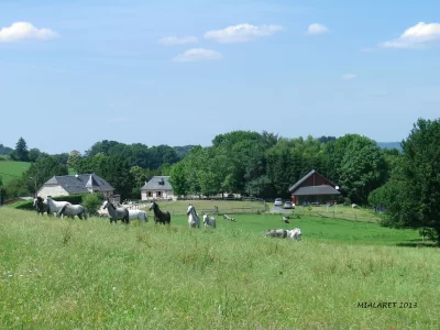 Ferme-equestre-de-Mialaret_1002932