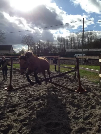 Ferme-equestre-du-petit-Villiers_1132188
