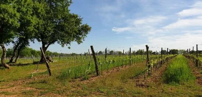 Ferme-ouverte-a-la-ferme-Cantemerle-4C-8211-27-04-2025-8211-Carlucet_2457315