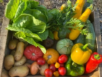 Ferme-ouverte-au-Marais-de-Gagnac-8211-27-04-2025-8211-Gagnac-sur-Cere_2454884