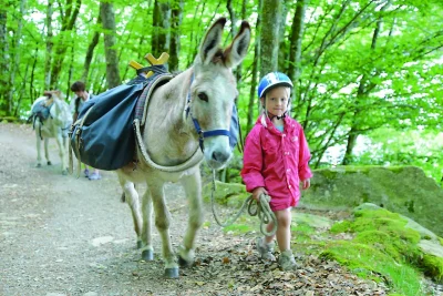 Ferme-pedagogique-Les-Anes-de-Vassiviere-8211-Peyrat-le-Chateau_2143639