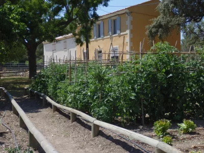 Ferme-pedagogique-du-Parc-de-Figuerolles_665904