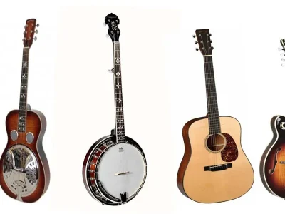 Festival-Bluegrass-8211-20-07-2025-8211-Kutzenhausen_2351145