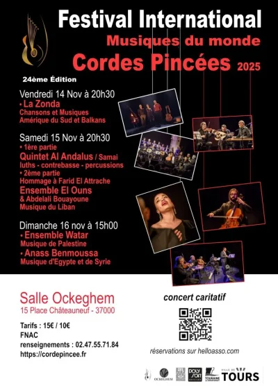 Festival-International-des-cordes-pincees-8211-16-11-2025-8211-Tours_3150407