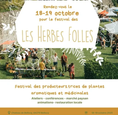 Festival-Les-Herbes-folles-8211-18-10-2025-8211-Bellocq_2977894