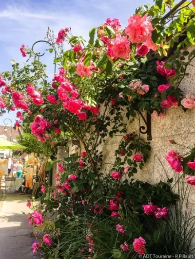 Festival-des-roses-8211-30-05-2026-8211-Chedigny_3133043