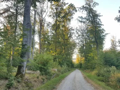 Festival-du-Patrimoine-Naturel-8211-Balade-contee-en-foret-de-Zetting-8211-18-05-2026-8211-Zetting_3630557