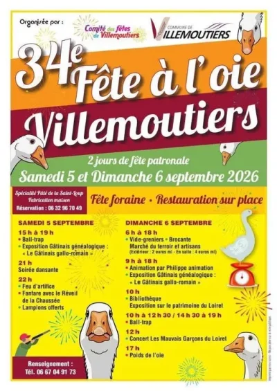 Fete-a-l039oie-8211-06-09-2026-8211-Villemoutiers_3806613