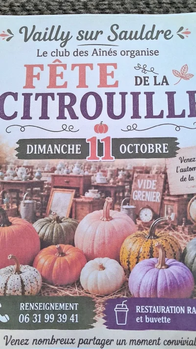 Fete-a-la-citrouille-et-vide-grenier-8211-11-10-2026-8211-Vailly-sur-Sauldre_3844986