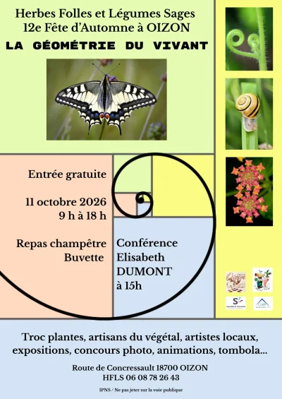 Fete-d039automne-quotLa-geometrie-du-Vivantquot-8211-Oizon_3878338