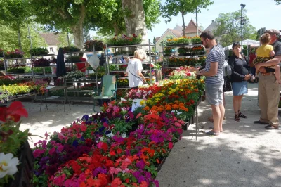 Fete-de-Printemps-8211-03-05-2026-8211-Coeur-de-Causse_3612332