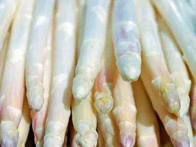 Fete-de-l039asperge-et-des-produits-du-terroir-8211-19-04-2026-8211-Fargues-sur-Ourbise_3474181