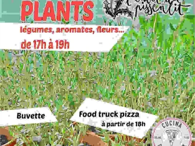 Fete-de-l039ete-8211-13-05-2026-8211-Moyen_3648567