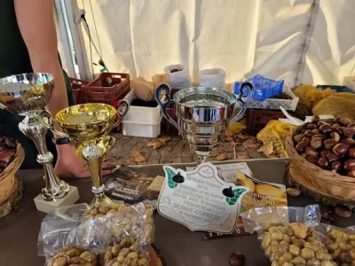 Fete-de-la-Chataigne-et-du-marron-8211-19-10-2025-8211-Beynat_2707168-2