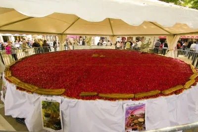 Fete-de-la-Fraise-8211-10-05-2026-8211-Beaulieu-sur-Dordogne_3447744