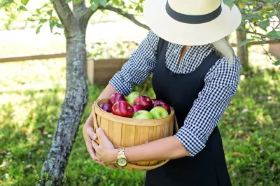 Fete-de-la-Pomme-8211-04-10-2026-8211-Saint-Aignan-le-Jaillard_3842489