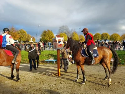 Fete-de-la-Quintaine-8211-16-11-2025-8211-Saint-Leonard-de-Noblat_2981221